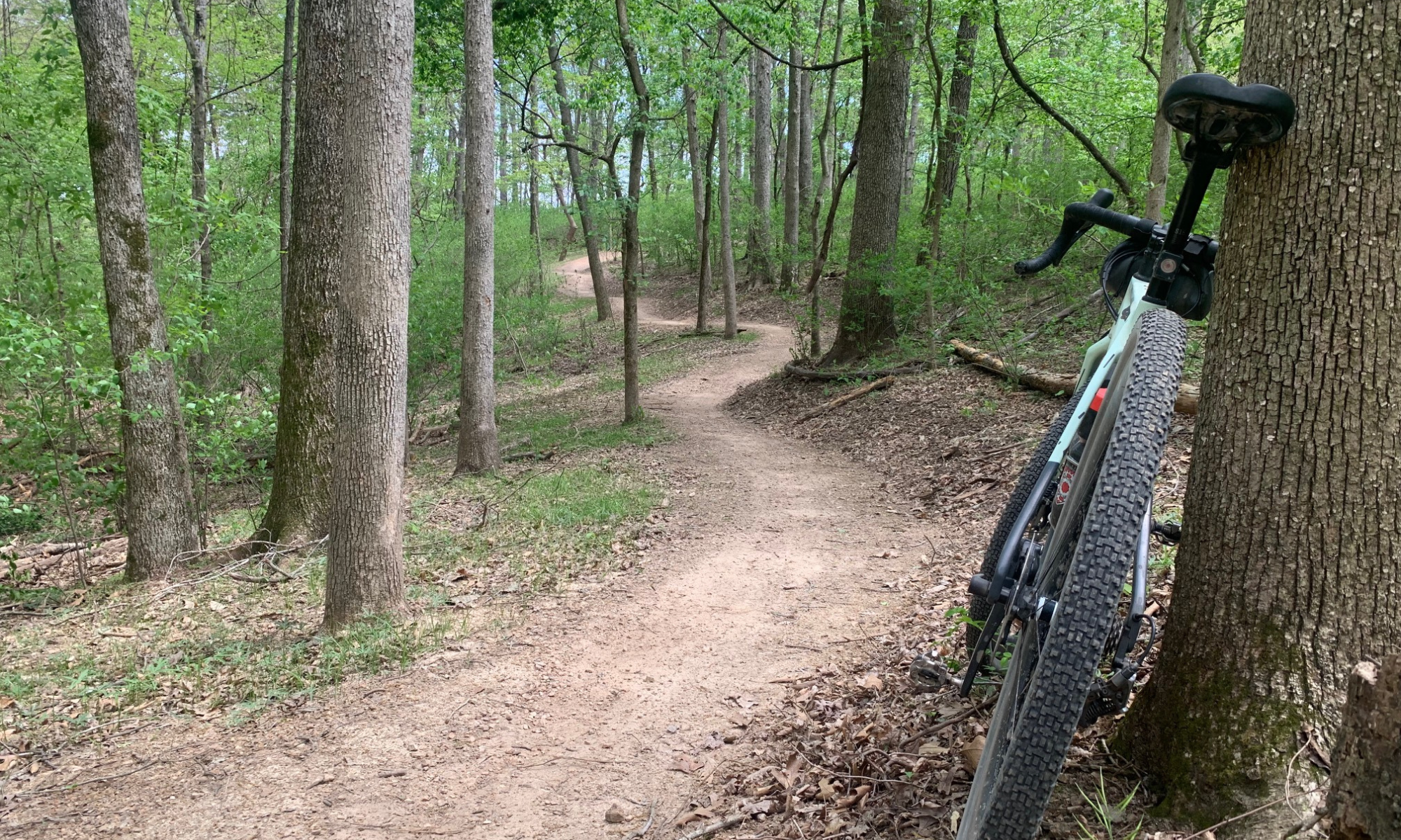 Cycling through Slaughter Pen